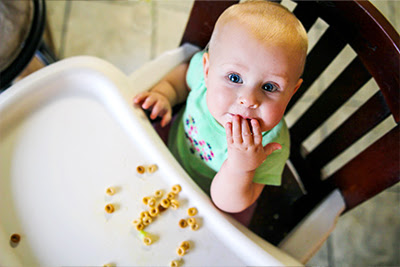 A baby eating cheerios