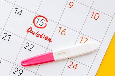 ovulation day marked on a calendar
