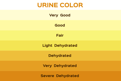 Urine colour chart