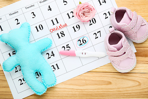 What Does DPO Mean for Pregnancy